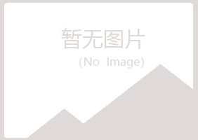 龙江县山柏建筑有限公司